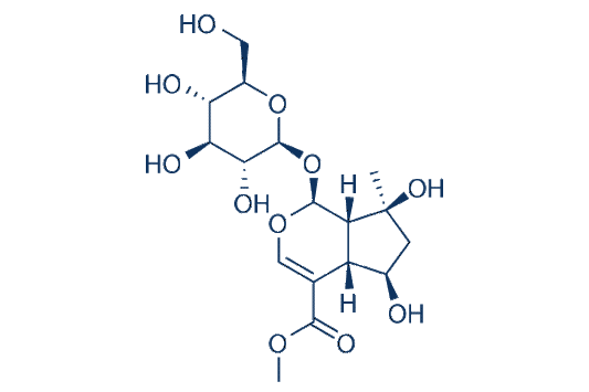 Shanzhiside methyl ester