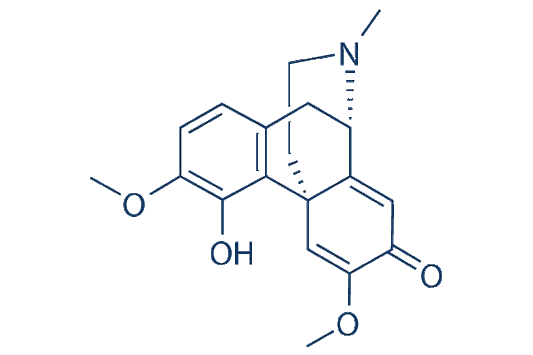 Sinoacutine