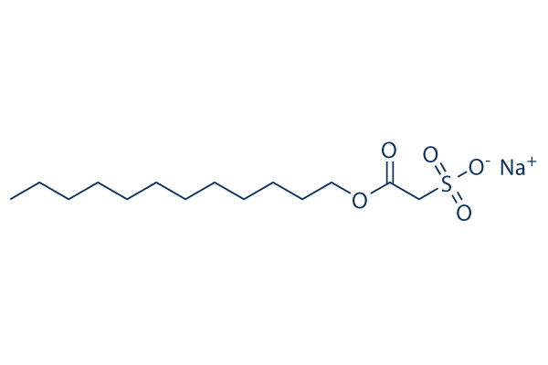 Sodium Lauryl Sulfoacetate