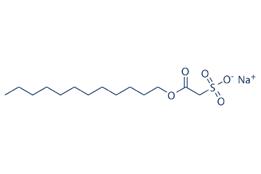 Sodium Lauryl Sulfoacetate