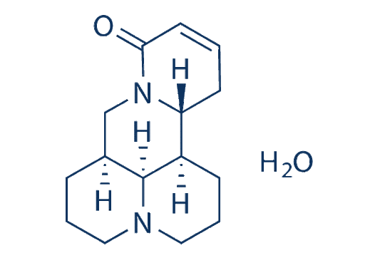 Sophocarpine Monohydrate