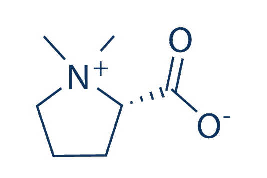 Stachydrine