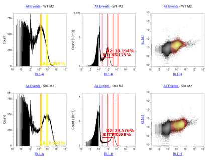 Affinity Maturation or Degeneration for Custom Antibody