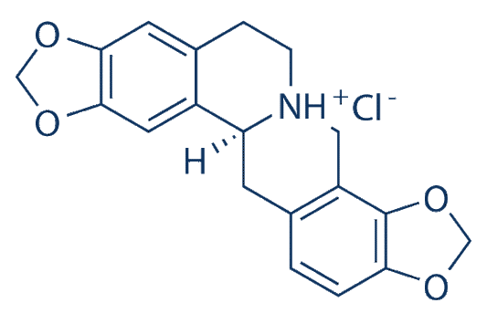 Stylopine hydrochloride