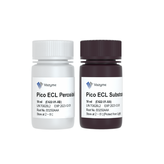 SuperPico ECL Chemiluminescence Kit