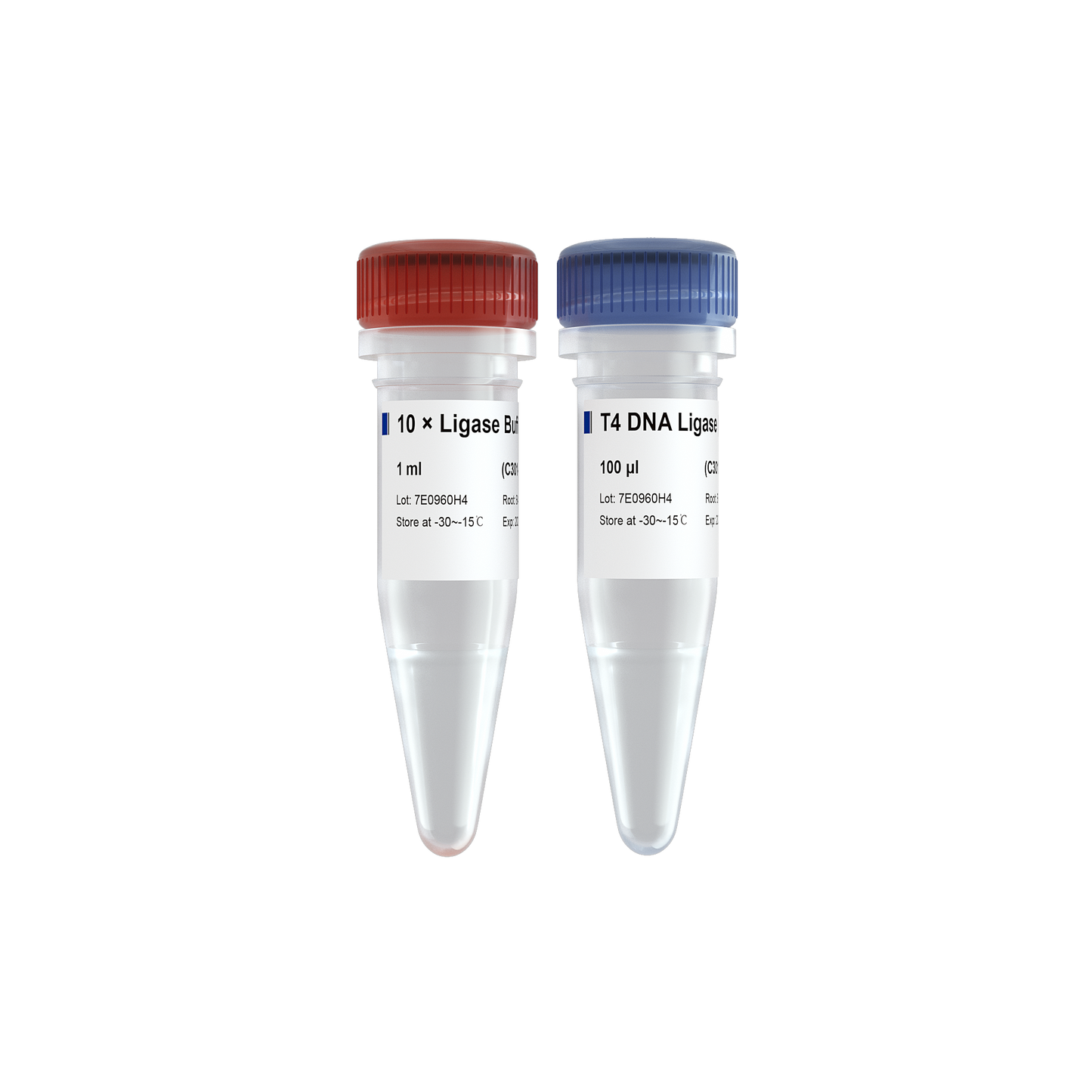 T4 DNA Ligase