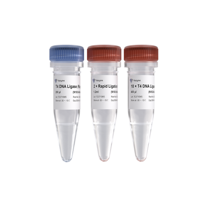 T4 DNA Ligase