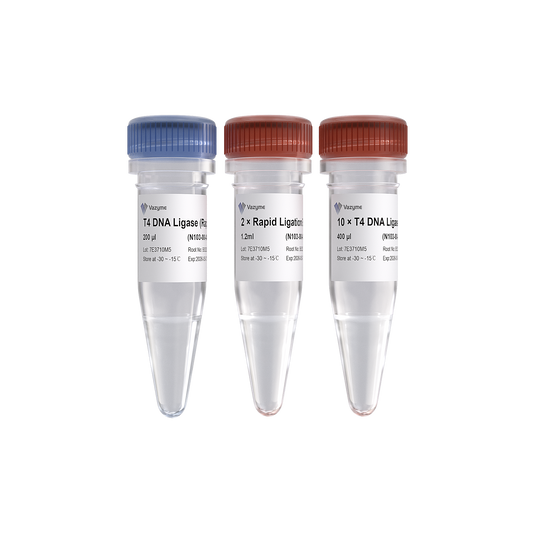 T4 DNA Ligase
