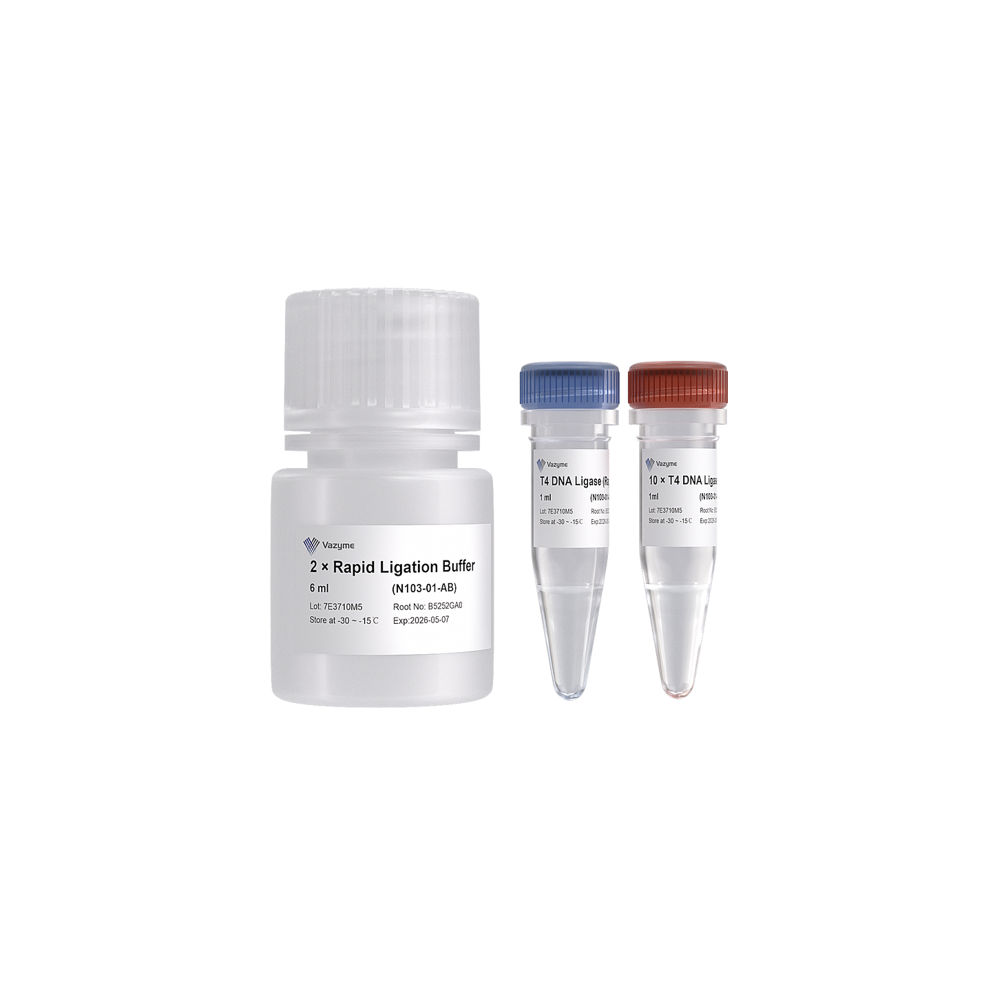 T4 DNA Ligase