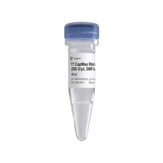 T7 CapMax RNA Polymerase (200 U/μl, GMP Grade)