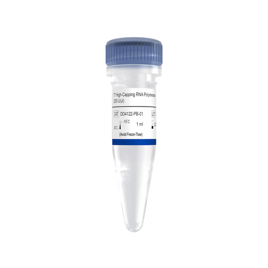 T7 High-Capping RNA Polymerase (200 U/μl)