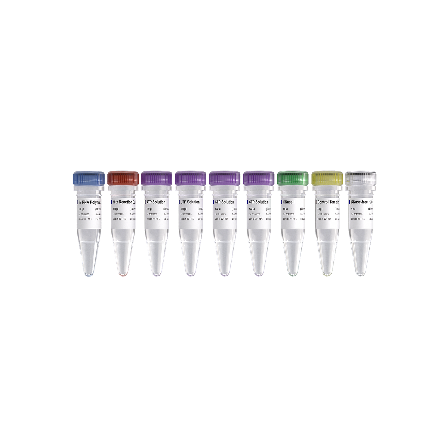 T7 High Yield RNA Transcription Kit
