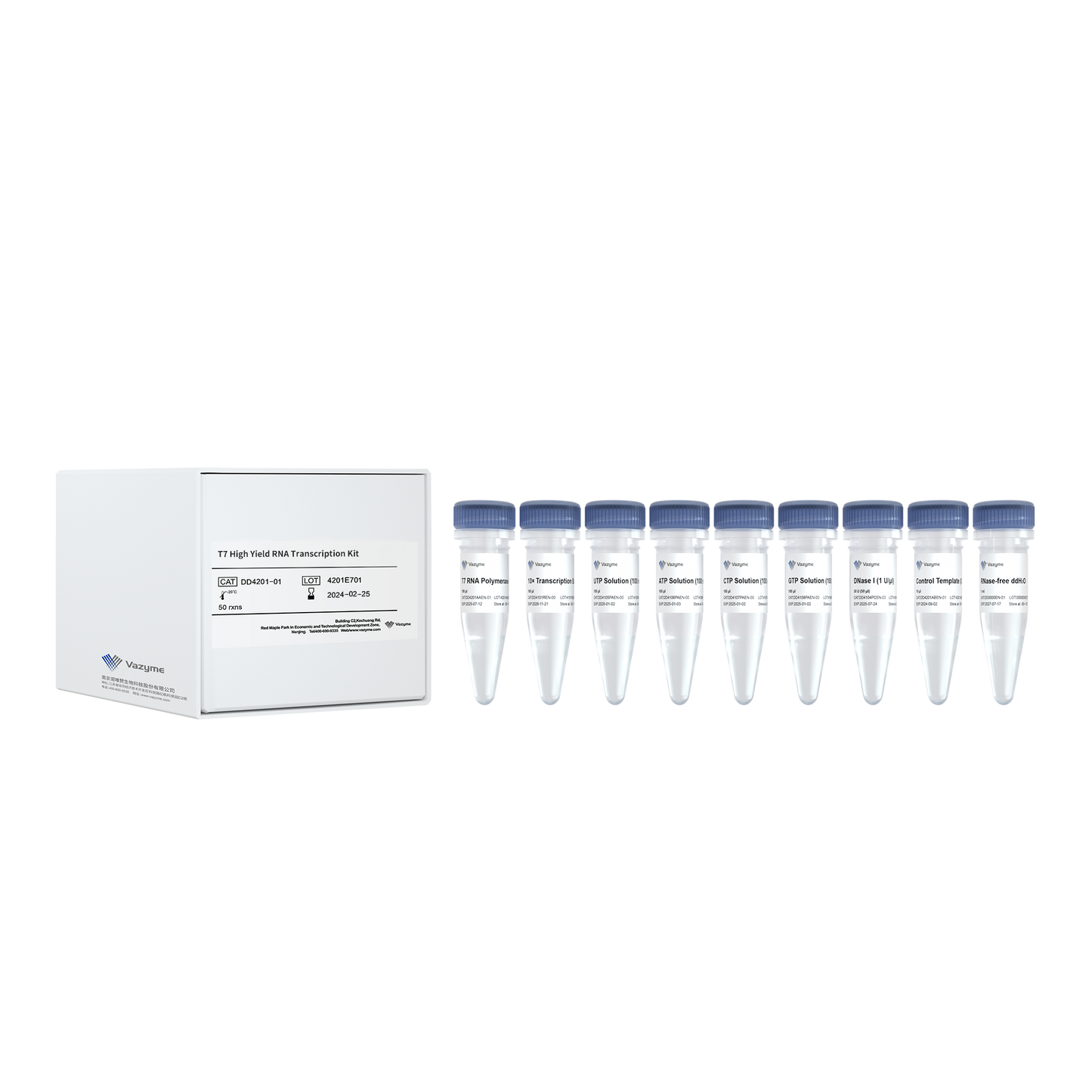T7 High Yield RNA Transcription Kit