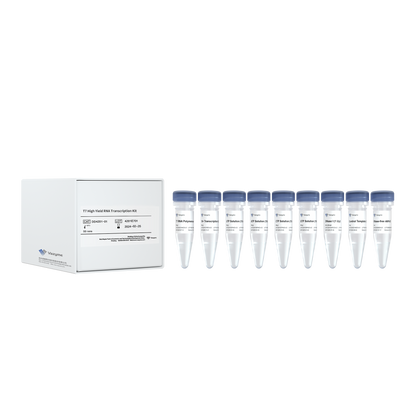 T7 High Yield RNA Transcription Kit