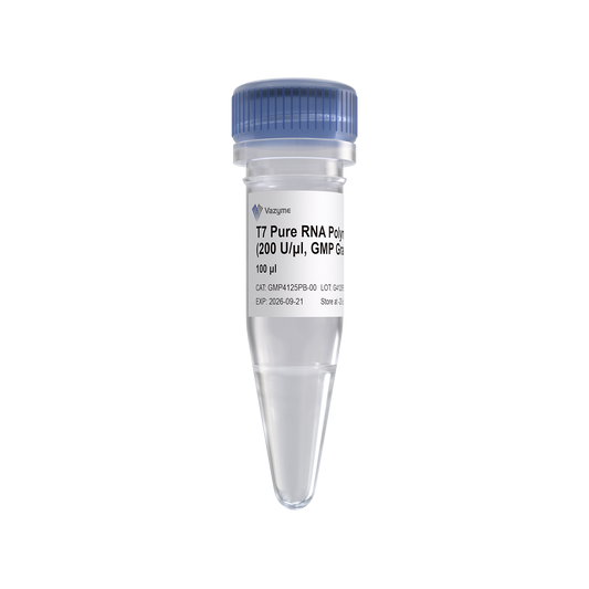 T7 Pure RNA Polymerase (200 U/μl, GMP Grade)