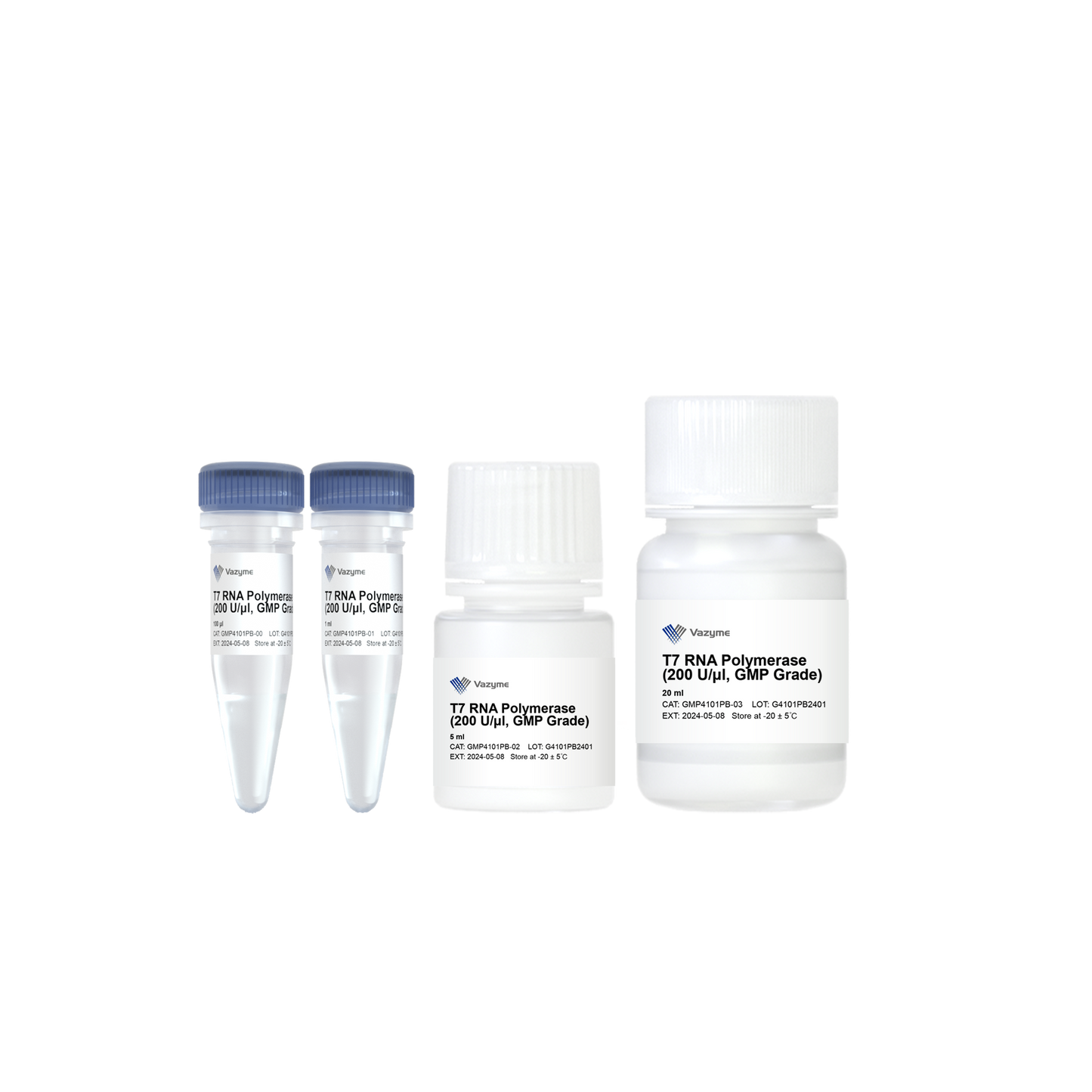 T7 RNA Polymerase (200 U/μl, GMP Grade)