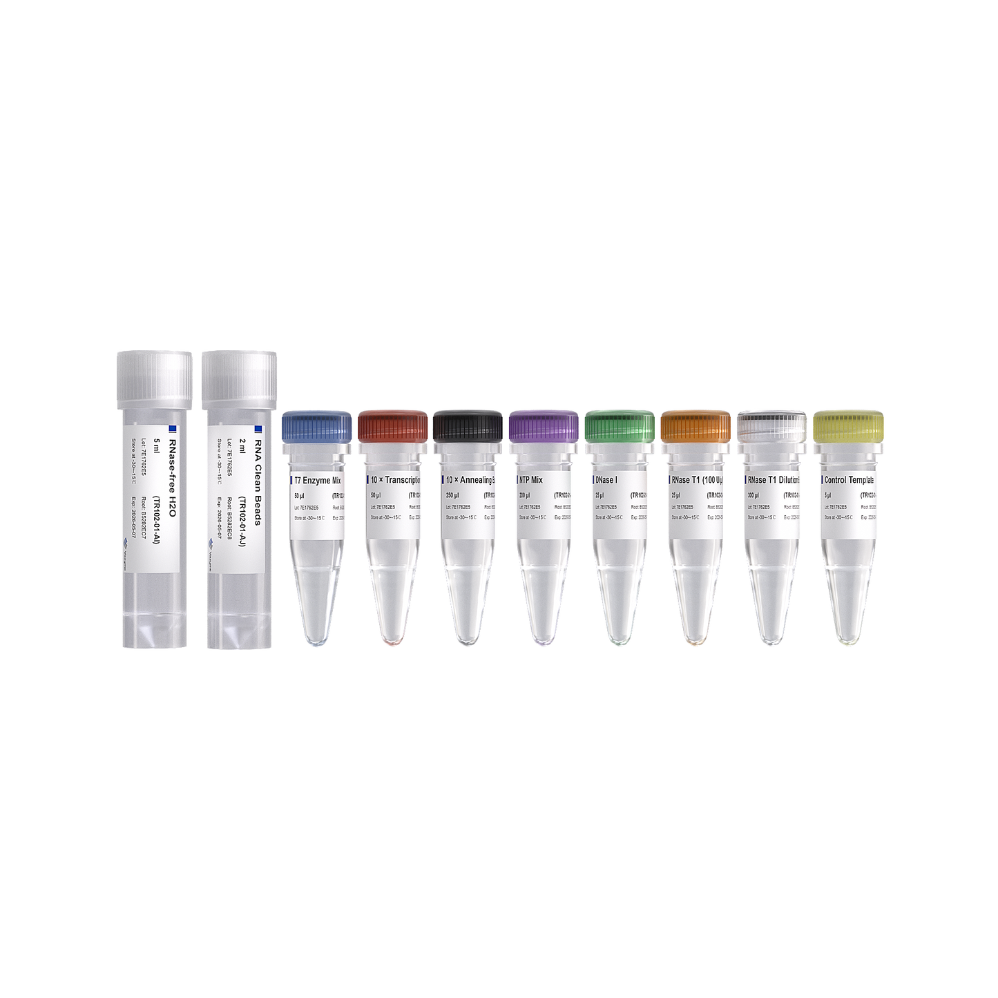 T7 RNAi Transcription Kit