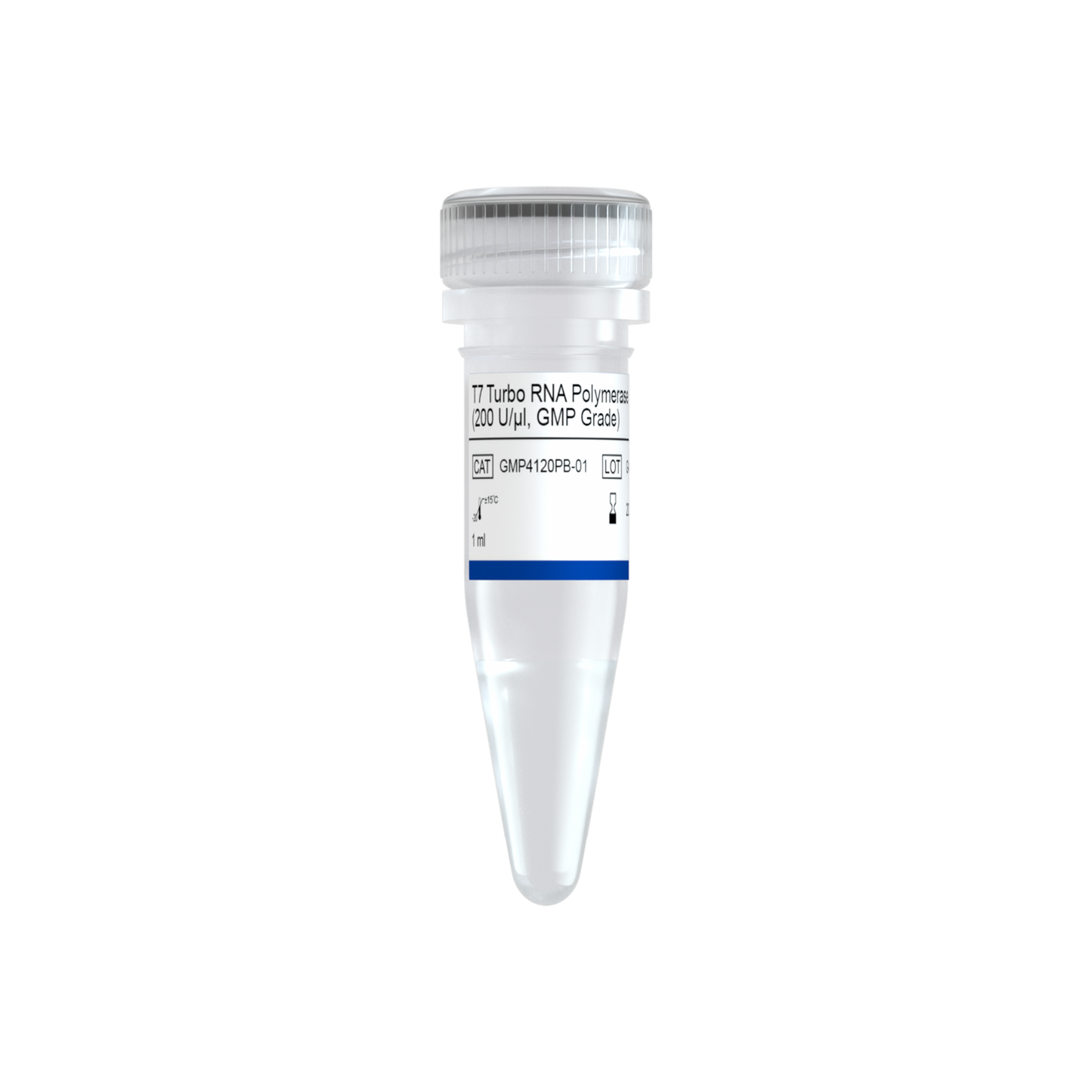 T7 Turbo RNA Polymerase (200 U/μl, GMP Grade)