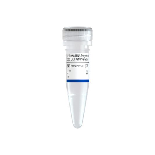 T7 Turbo RNA Polymerase (200 U/μl, GMP Grade)