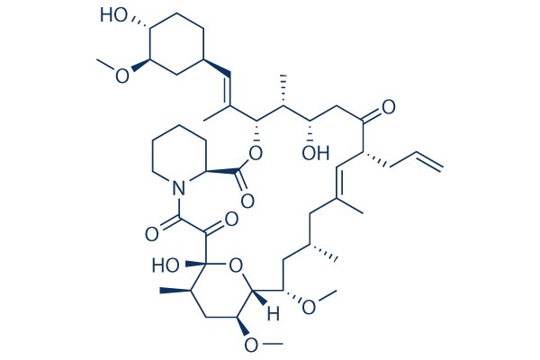 FK506 (Tacrolimus)