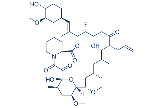 FK506 (Tacrolimus)