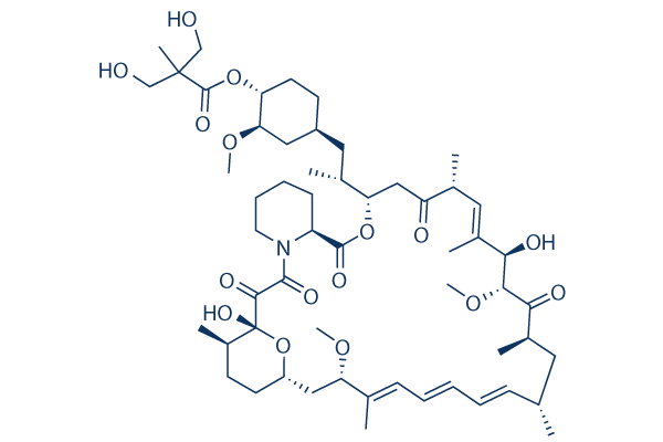 Temsirolimus (CCI-779)