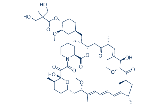 Temsirolimus (CCI-779)
