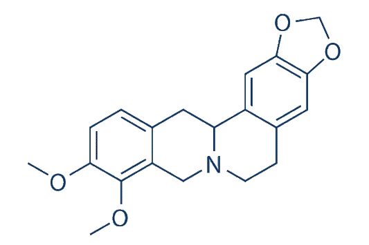 Tetrahydroberberine