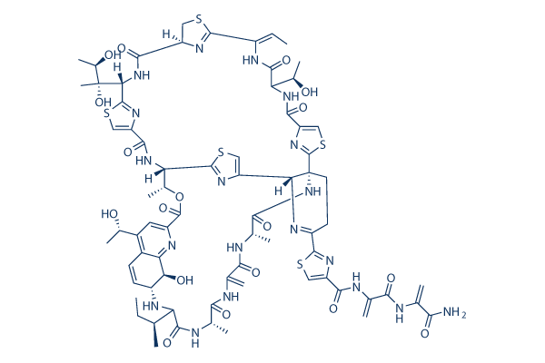 Thiostrepton