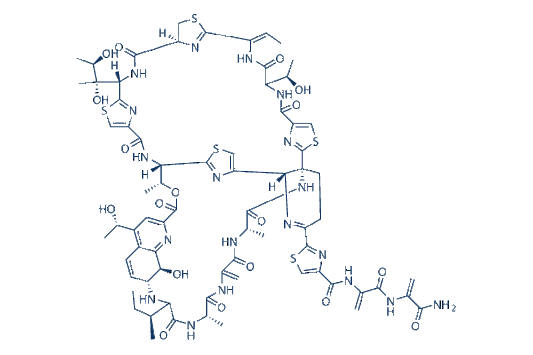 Thiostrepton