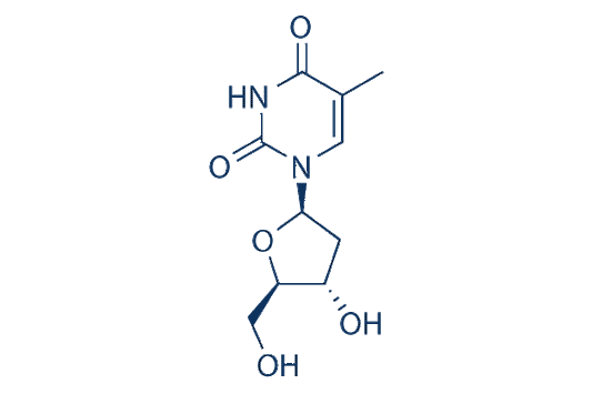 Thymidine