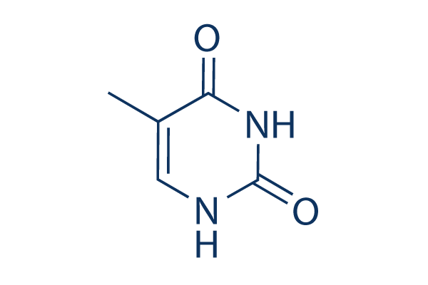 Thymine