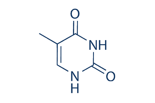 Thymine