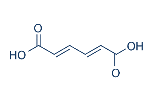 trans-trans-Muconic acid