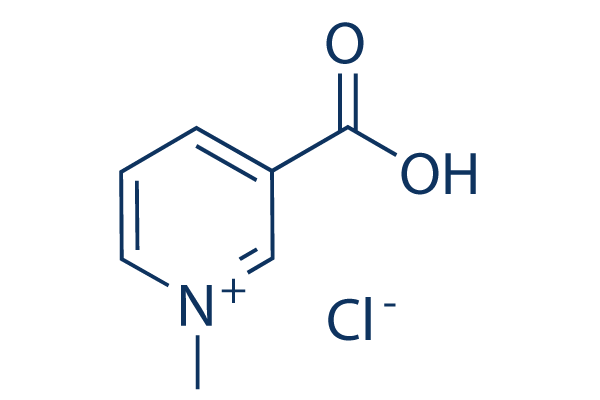 Trigonelline Hydrochloride