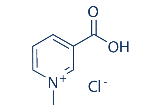 Trigonelline Hydrochloride