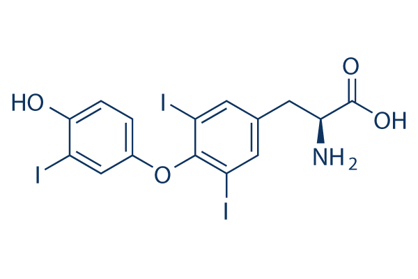 Liothyronine (Triiodothyronine, T3)