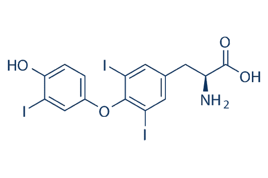 Liothyronine (Triiodothyronine, T3)