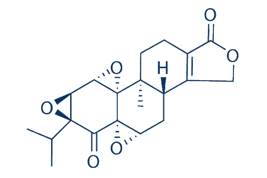 Triptonide