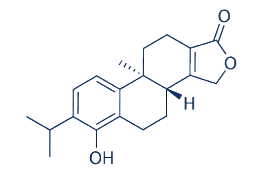 Triptophenolide
