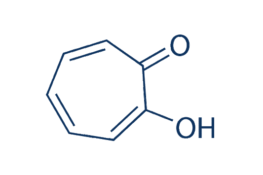 Tropolone (NSC 89303)