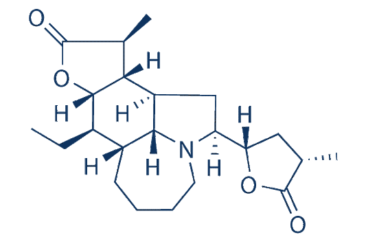 Tuberostemonine