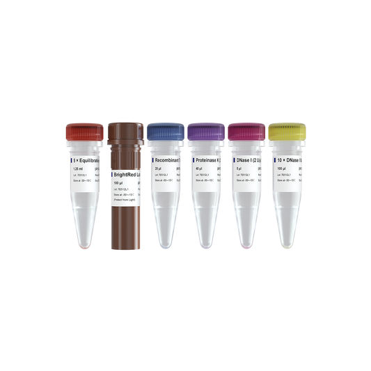 Set of six labeled test tubes with colored caps on a white background