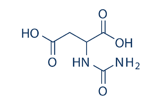 Ureidosuccinic acid