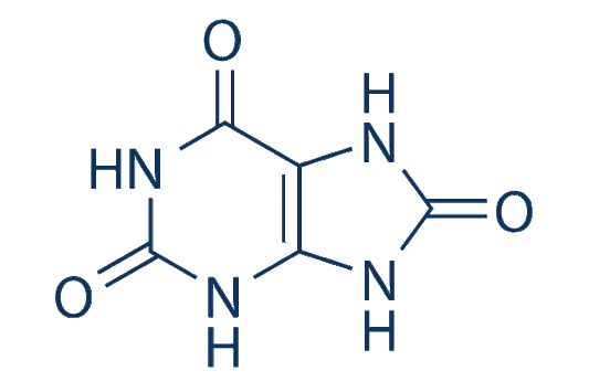 Uric Acid