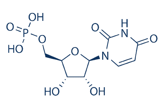 Uridine 5'-monophosphate