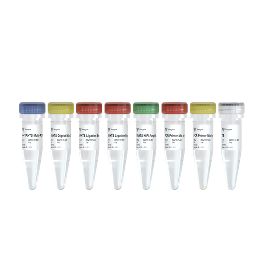 VAHTS AmpSeq Library Prep Kit V3