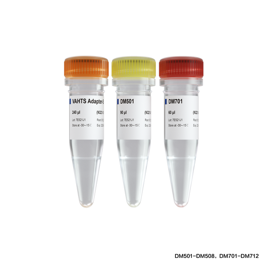 VAHTS Multiplex Oligos Set 4 for Illumina (DM501-508 / DM701-712)