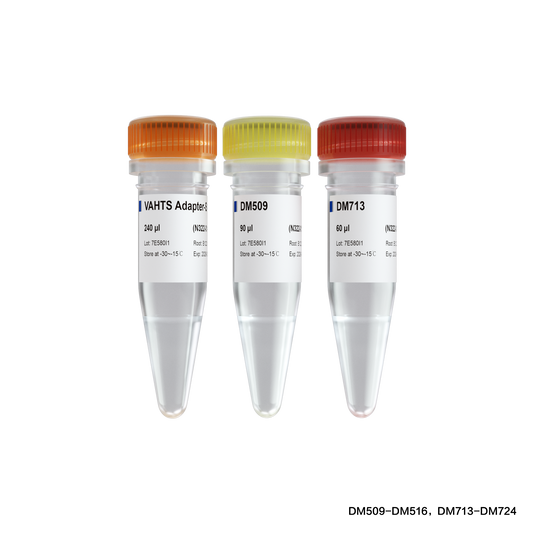 VAHTS Multiplex Oligos Set 5 for Illumina (DM509-516 / DM713-724)