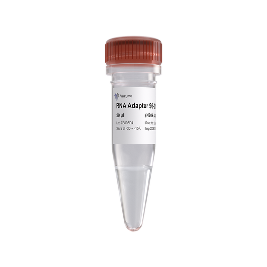 VAHTS RNA Adapters Set 3 for Illumina (RNA Adapter 96-01 - 96-24)